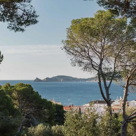 Dora (adults Only) 4*